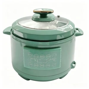 DC Rice Cooker Ku Og 07 014